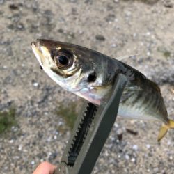 爆風スランプだぁ