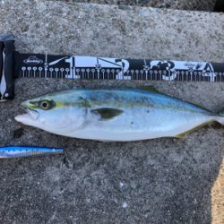 エソと間違う引き