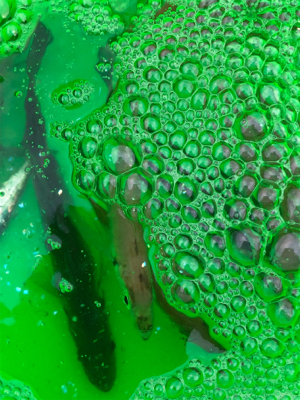 いつもよりも風が強い