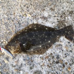 まったりフラッシュ