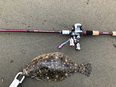 由良川河口にて