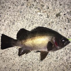 強風ライトゲーム