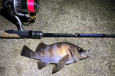 夜〜朝マズメ県北釣り