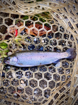 千早マス釣り場　