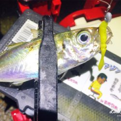 レベロクアジング