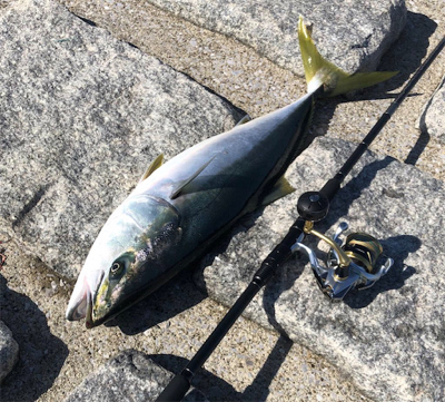 今年の目標達成！！！