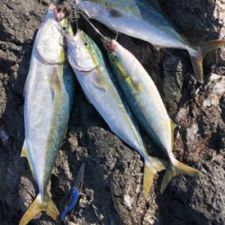 努力は報われるロックショア