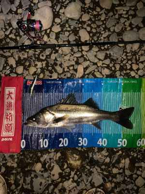 仕事終わりの短時間釣行