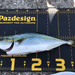 懲りずに人混みへ