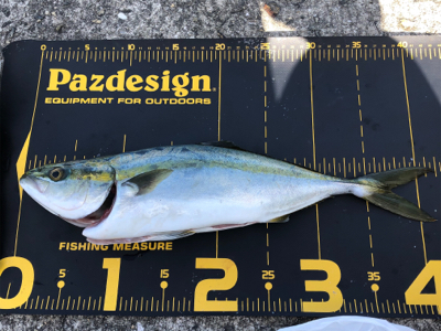 懲りずに人混みへ