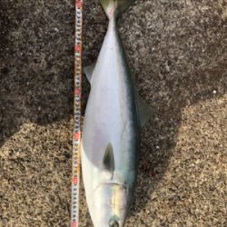 渋い中の値千金！