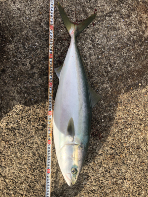 渋い中の値千金！