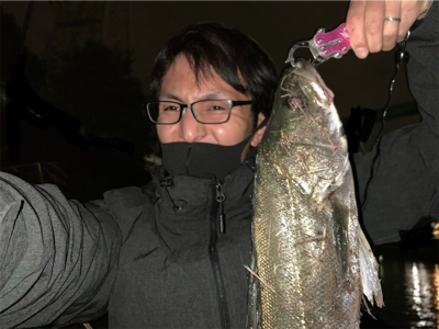 新河岸川シーバス