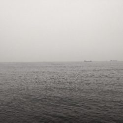 エソちゃんとツバスちゃん