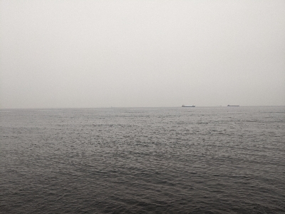 エソちゃんとツバスちゃん