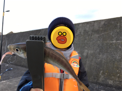 ファミリーアジング