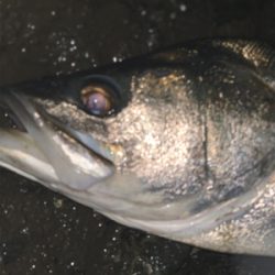 雨の中トップで!