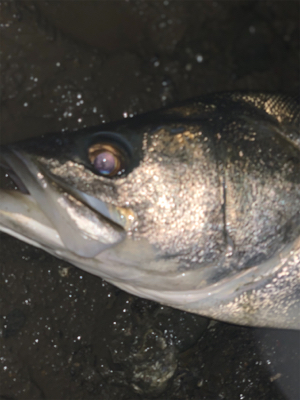 雨の中トップで!
