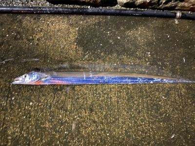 爆風の中の一本