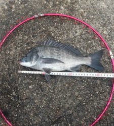 バクダン投下‼️