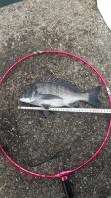 バクダン投下‼️…