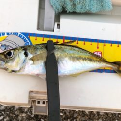 今日も風当たりが強かった⁉︎