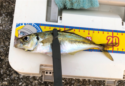 今日も風当たりが強かった⁉︎