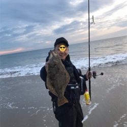 ギリヒラメ爆釣