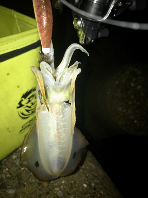 何とか1杯σ(^_^;)