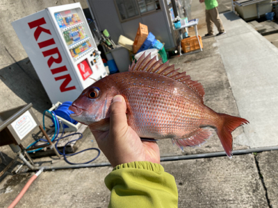 平磯 秋の鯛祭り♪ 2020