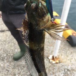 渋いっす(苦笑)