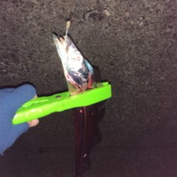 太刀魚ちゃんゴメンなさい