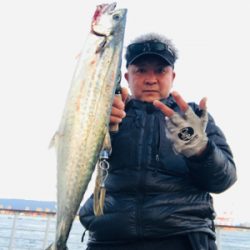 コスモスクエア釣果