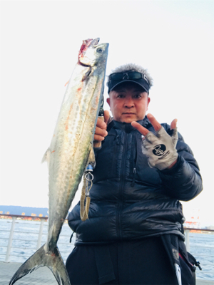 コスモスクエア釣果