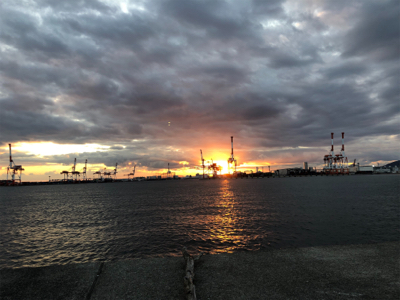 沖堤は今が釣り頃ですよ〜