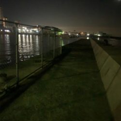 ナイトエギング釣行