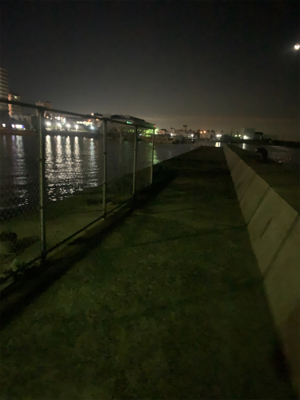 ナイトエギング釣行