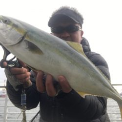 コスモスクエア釣果