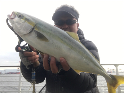 コスモスクエア釣果