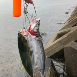 曇り空がいい感じ