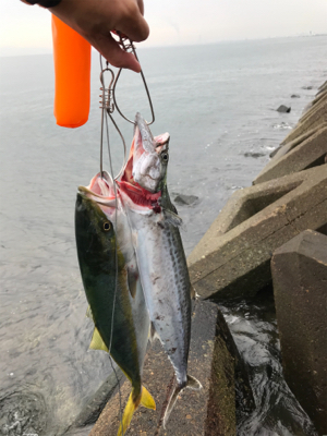曇り空がいい感じ