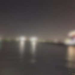 太っちょアジさんに遭遇