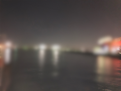 太っちょアジさんに遭遇