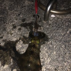 仕事終わりに。