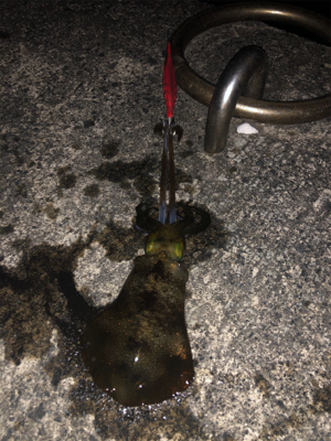 仕事終わりに。