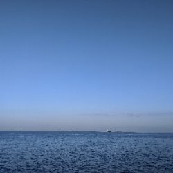 サゴシパーティー