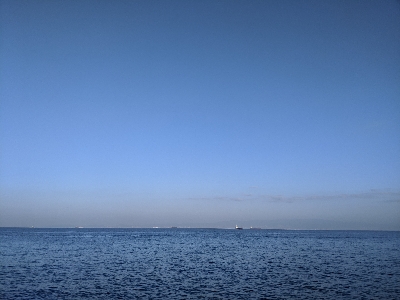 サゴシパーティー