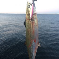 ポーアイ沖堤防