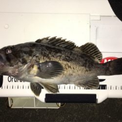 種市で釣りキャンプ