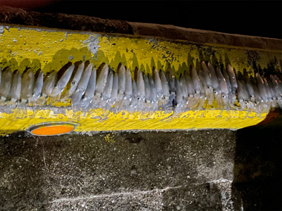 ヒイカ　エギング　100杯超え